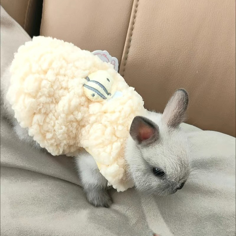 Winter Warm Bunny Rabbit Sweat - огляд і ціна Winter Clothing Newborn