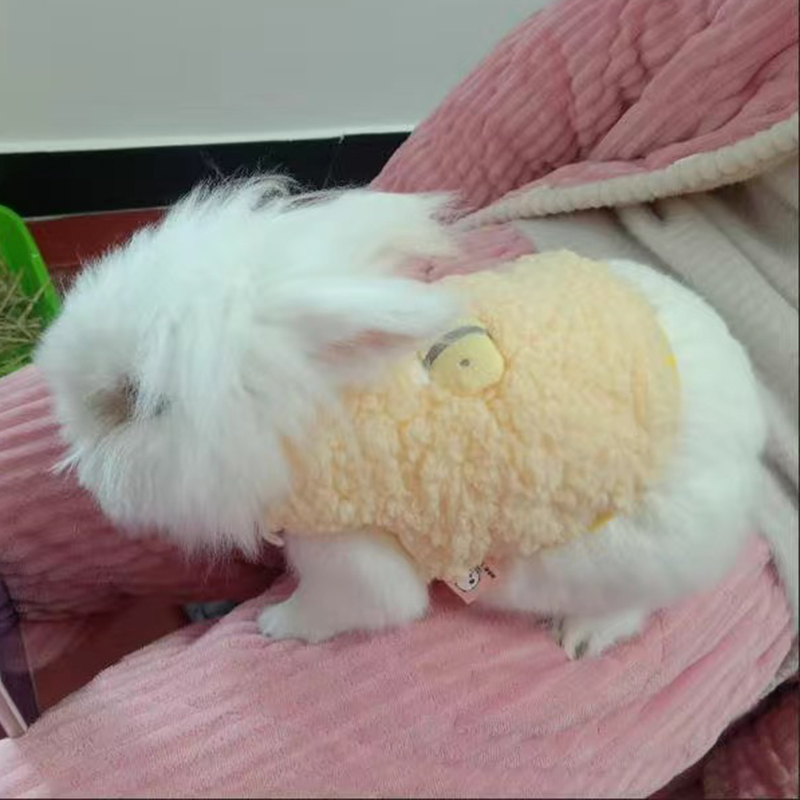 Winter Warm Bunny Rabbit Sweat - огляд і ціна Winter Clothing Newborn